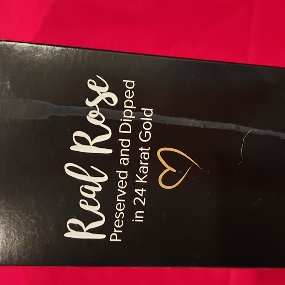 Steven Singer Real Pink Rose Preserved and Dipped in 24 Karat Gold - Picture 1 of 11